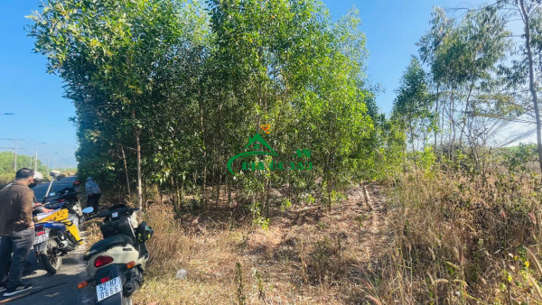 CHO THUÊ NHÀ NGUYÊN CĂN MẶT TIỀN LÊ VĂN KHƯƠNG, QUẬN 12 , TP HỒ CHÍ MINH