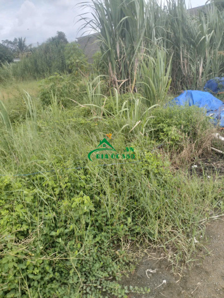 BÁN ĐẤT KHU CAMPING LÀNG OMM – BẢO LỘC, LÂM ĐỒNG